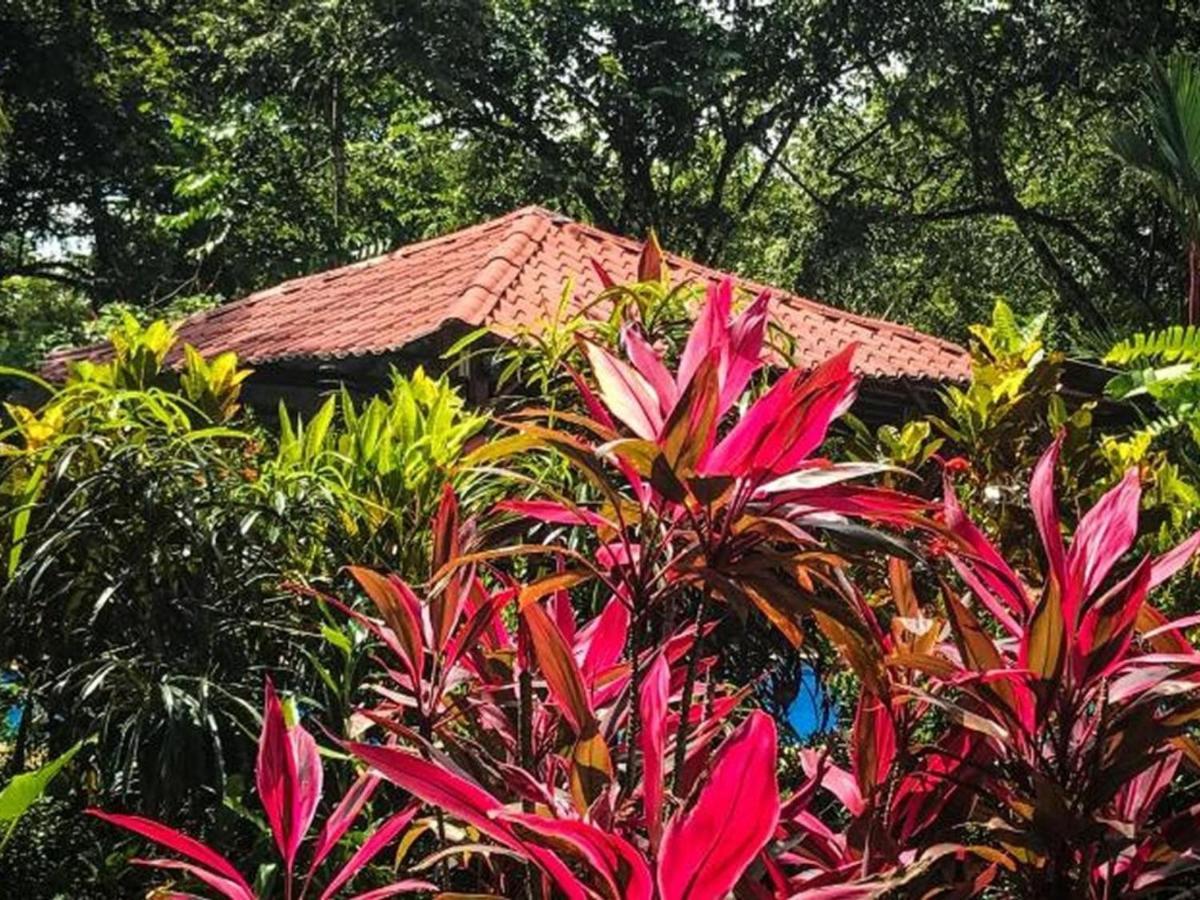Casa Colores Montezuma Esterno foto