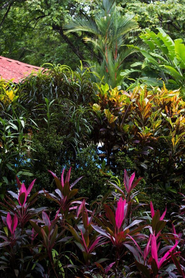 Casa Colores Montezuma Esterno foto
