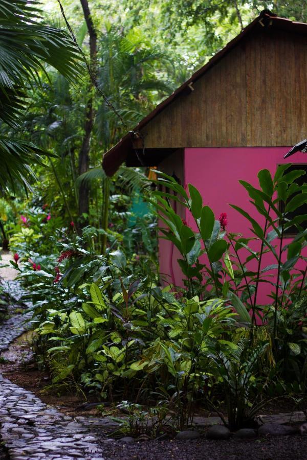 Casa Colores Montezuma Esterno foto